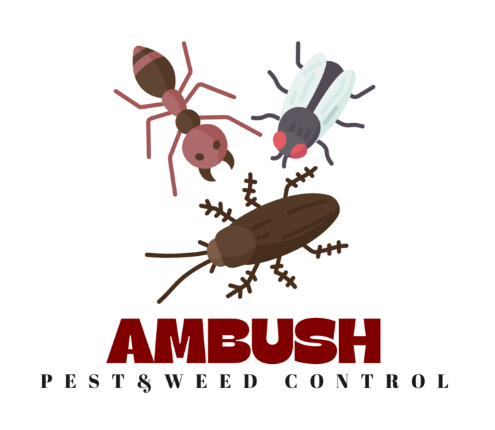 Ambush Pest & Weed Control